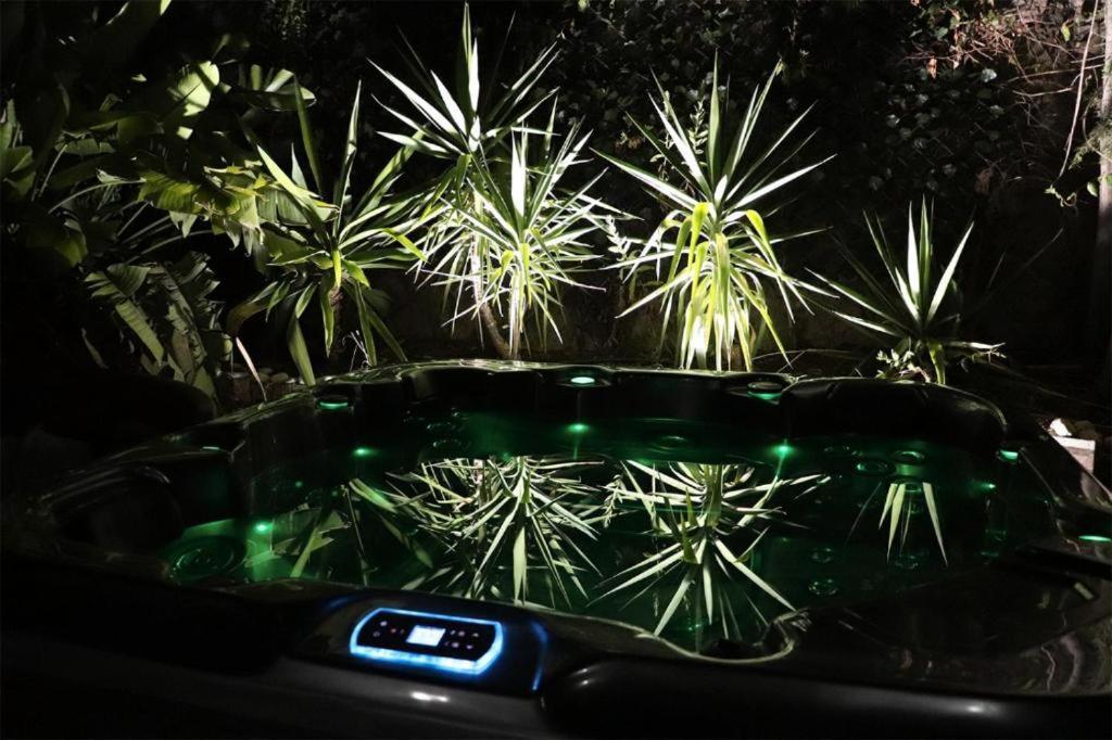 Luxury Jacuzzi Home & Terraces Màlaga Exteriér fotografie